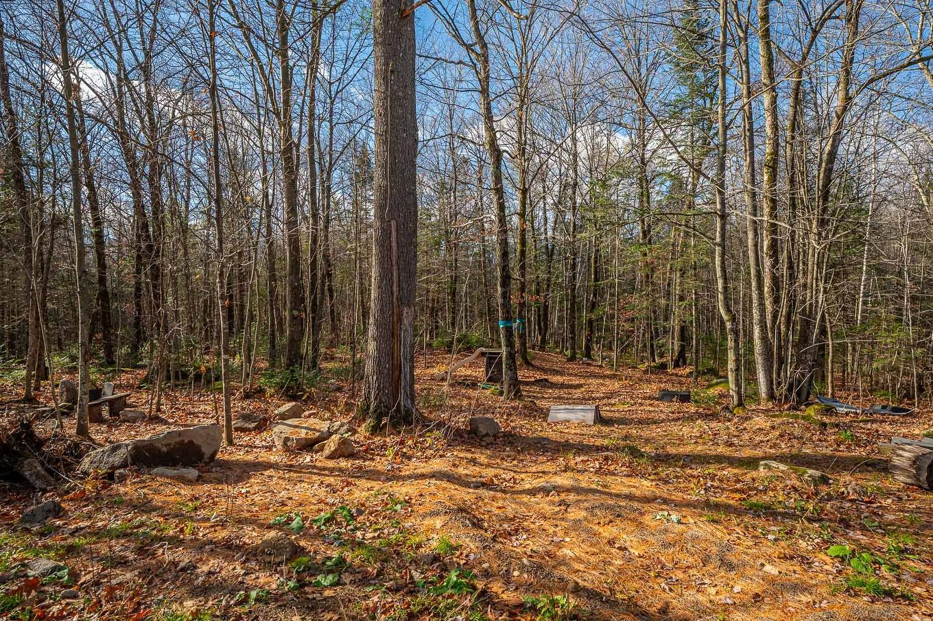 Terre/Terrain - 640 Rue Des Épinettes, Saint-Hippolyte, QC - Outdoor With View