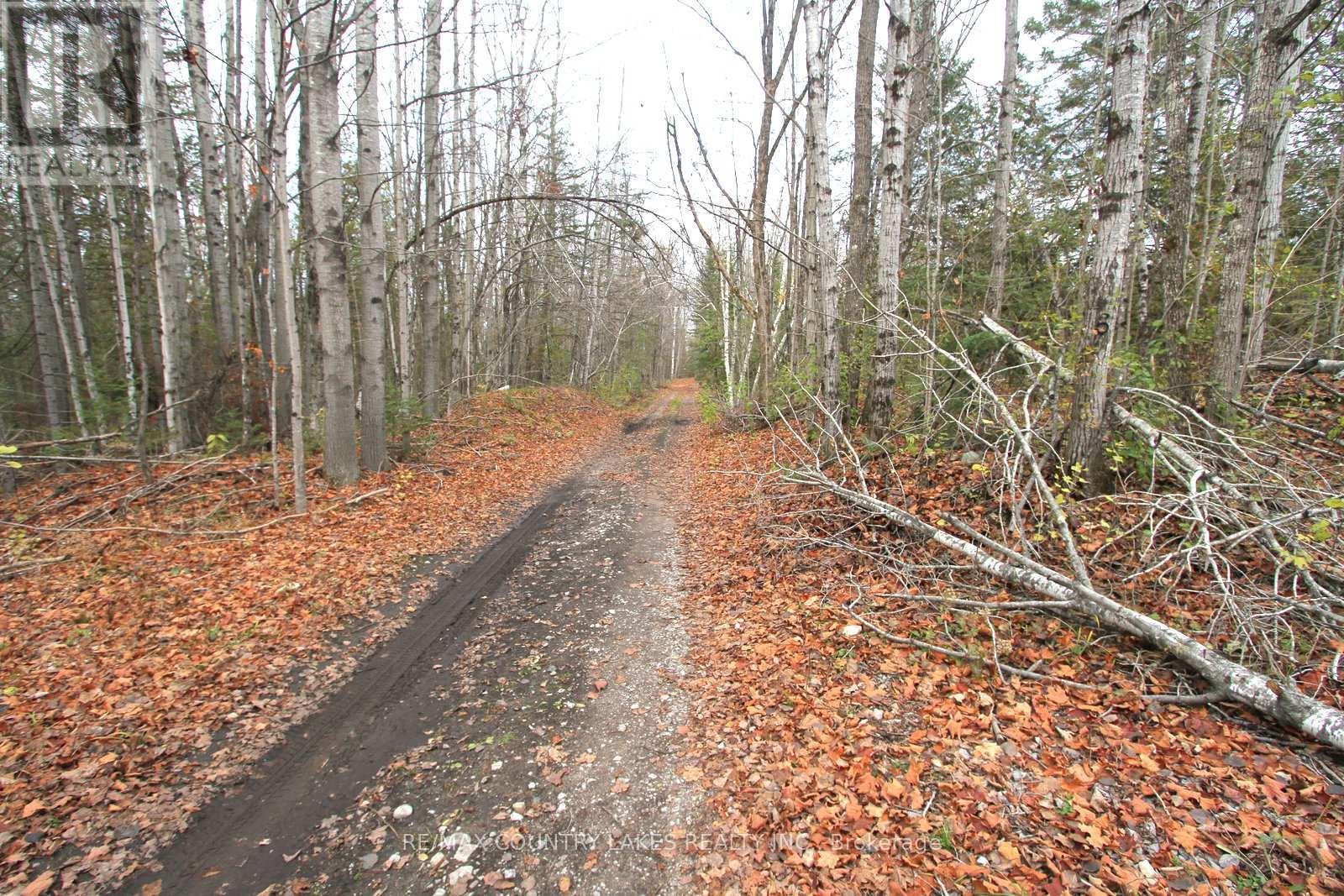 Lt3 Ramblewood Trail, Kawartha Lakes, ON