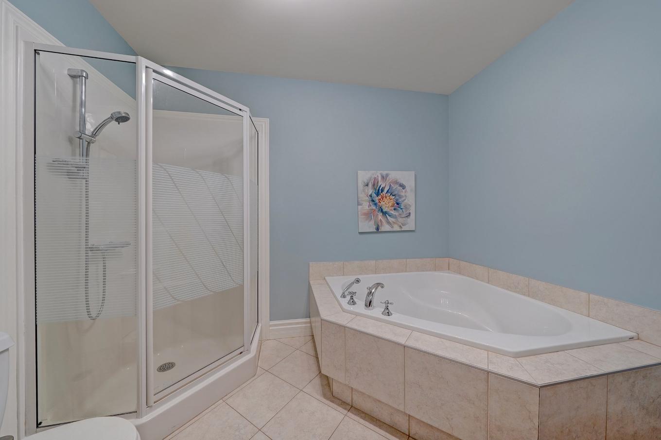 Bathroom - 204-2408 Rue Racine, Longueuil (Saint-Hubert), QC - Indoor Photo Showing Bathroom