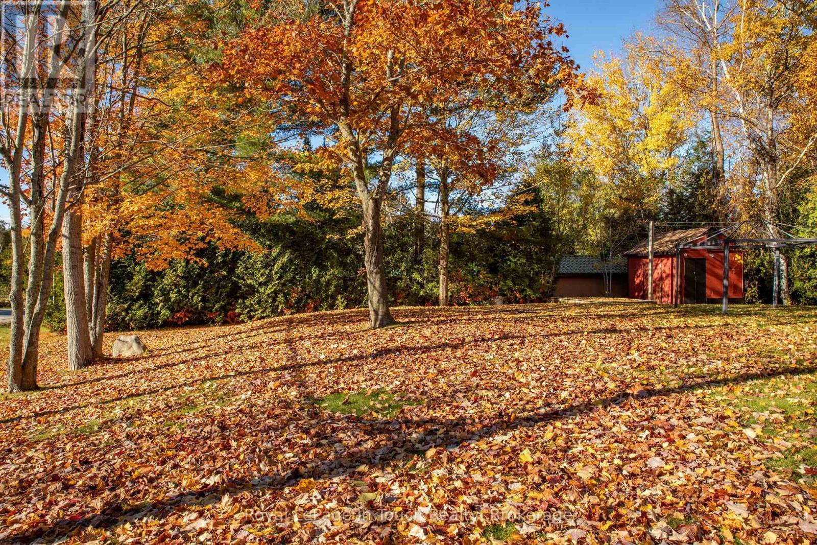 Back Yard - 2 Coppercliff Crescent, Tiny, ON - Outdoor