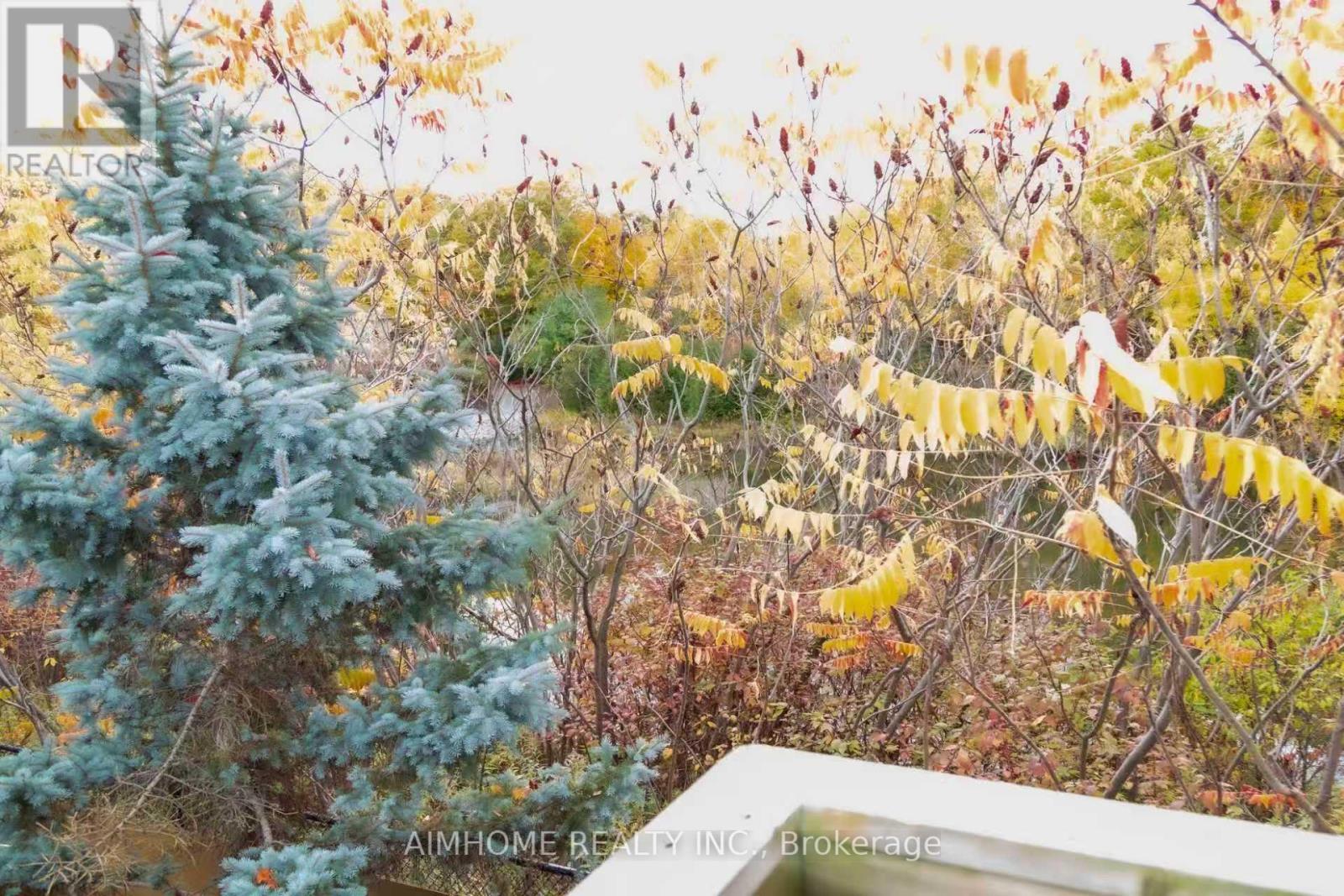 19 Durango Drive, Richmond Hill, ON - Outdoor With View