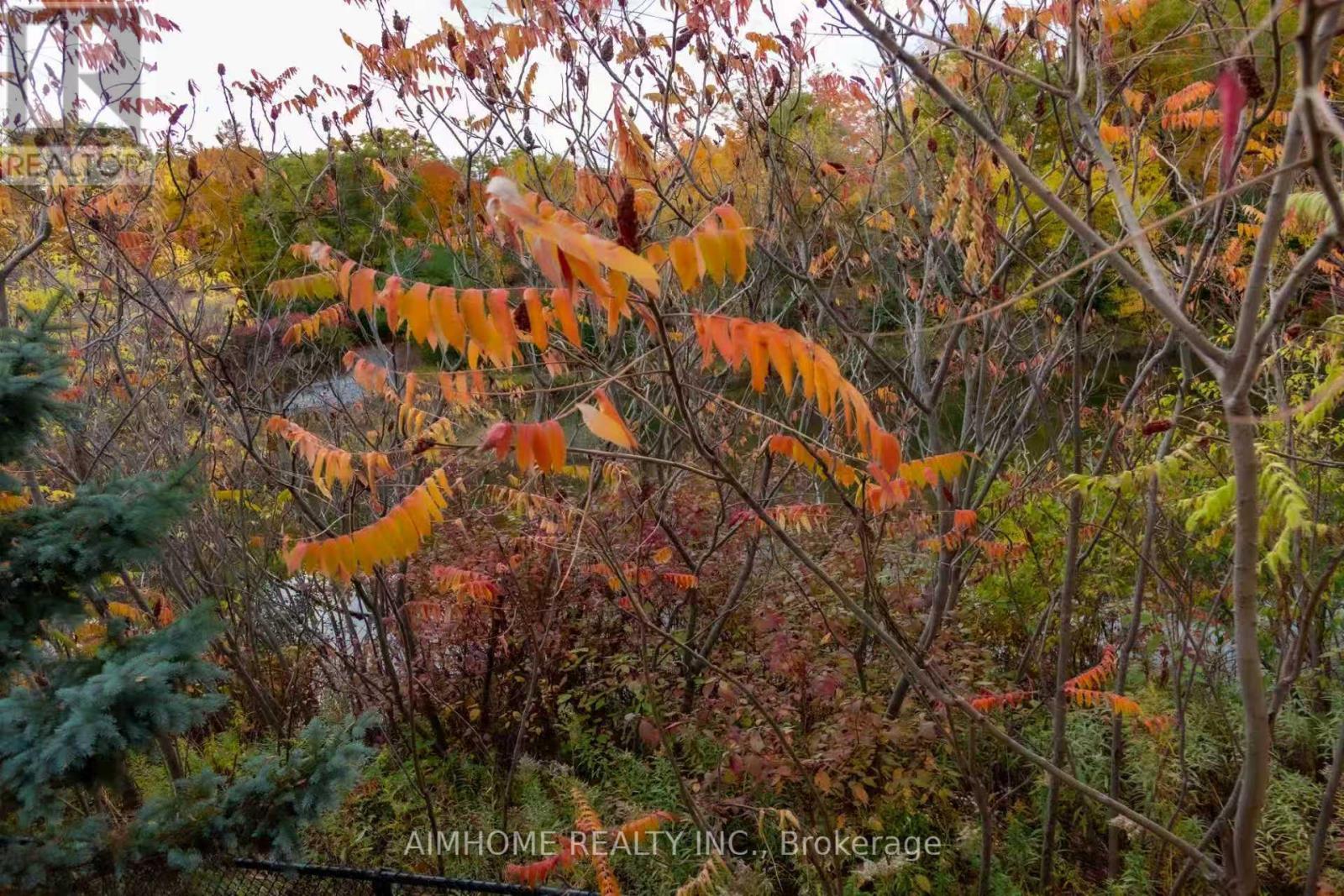 19 Durango Drive, Richmond Hill, ON - Outdoor With View