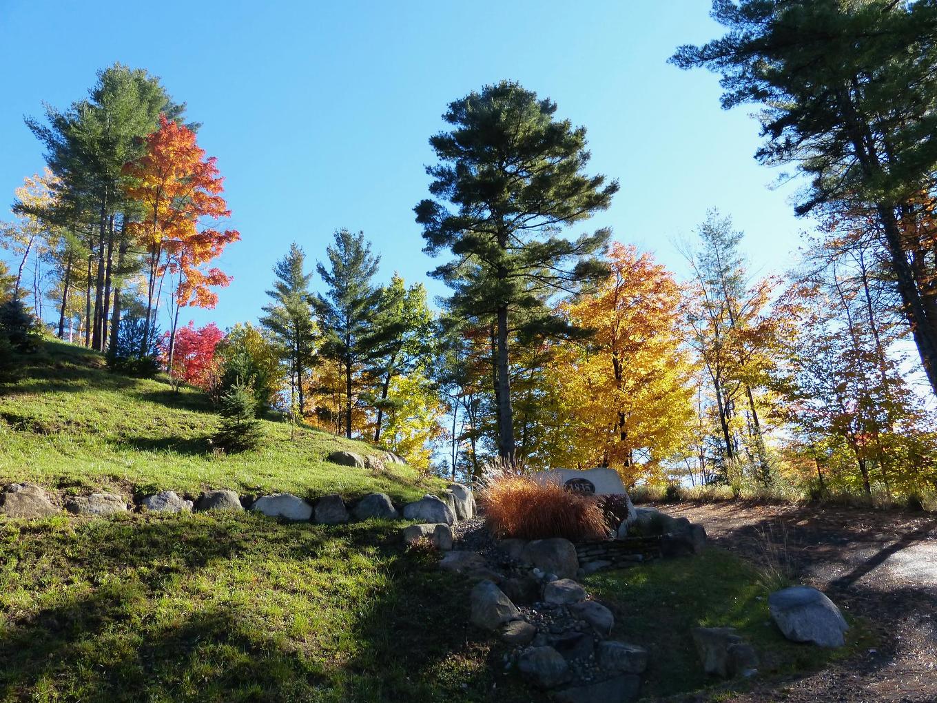 Back facade - 1835 Rue De La Forêt, Sainte-Adèle, QC - Outdoor