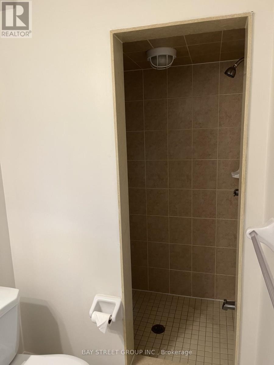 Bsmt - 50 Bernadino (Bsmt) Street, Brampton, ON - Indoor Photo Showing Bathroom