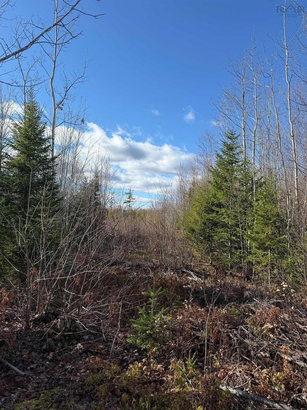 B Mackay Road, Welsford, NS