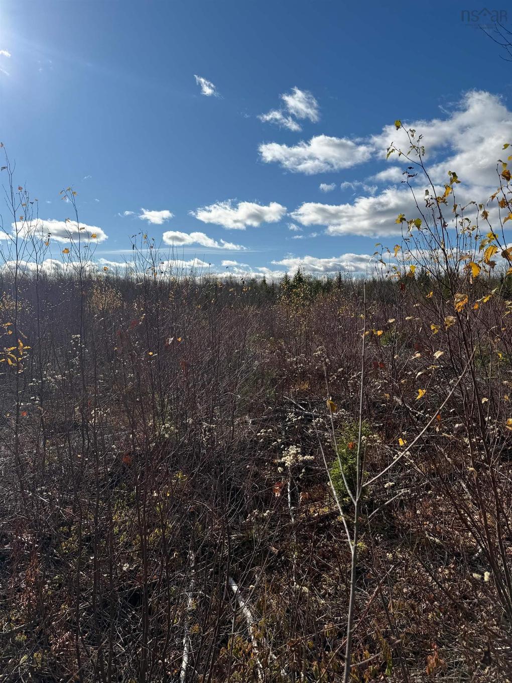 B Mackay Road, Welsford, NS