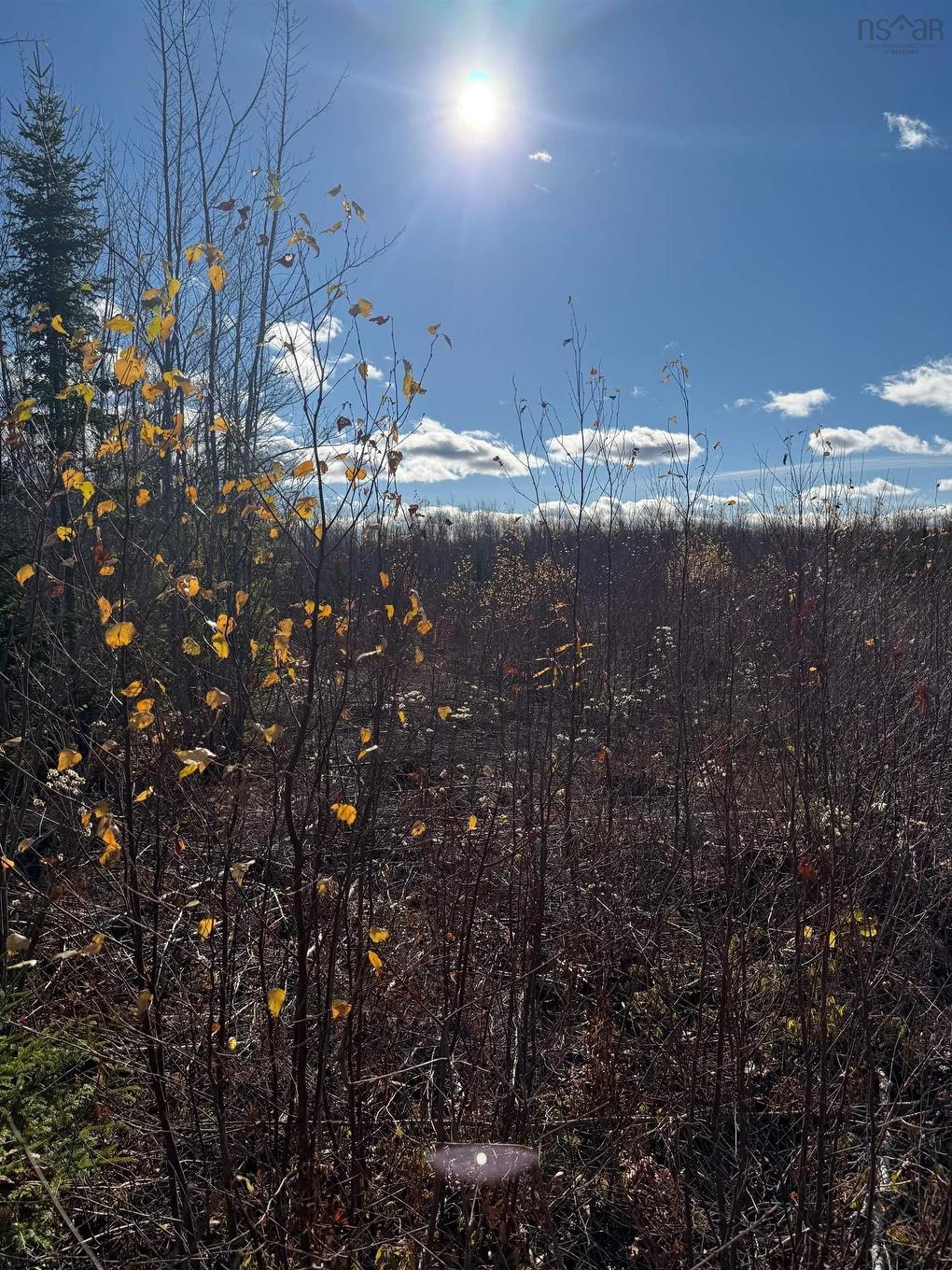 B Mackay Road, Welsford, NS