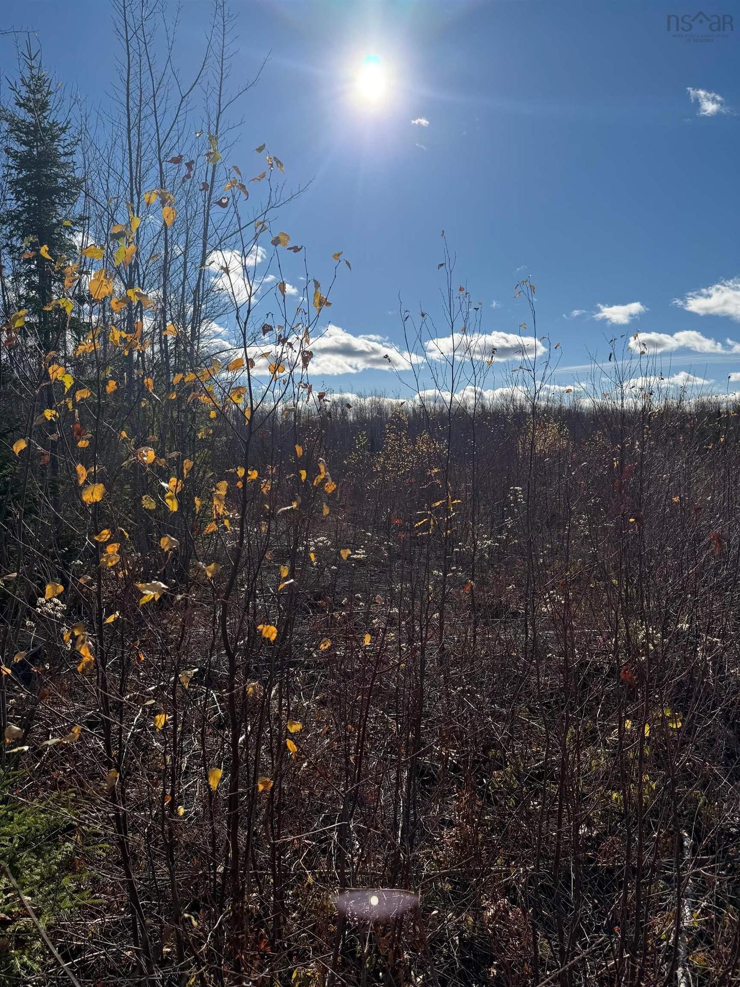 B Mackay Road, Welsford, NS