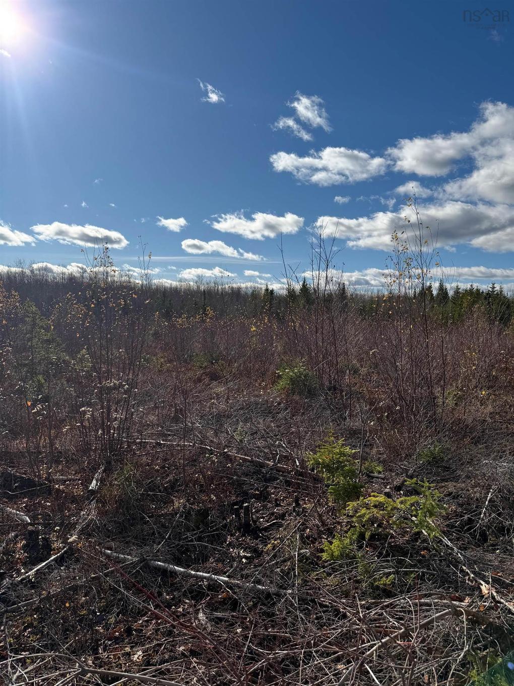 B Mackay Road, Welsford, NS