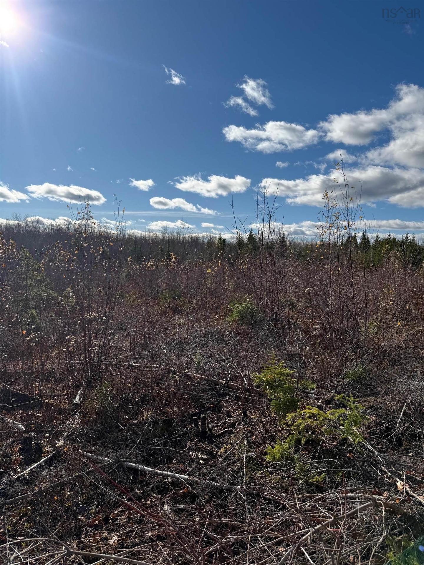 B Mackay Road, Welsford, NS