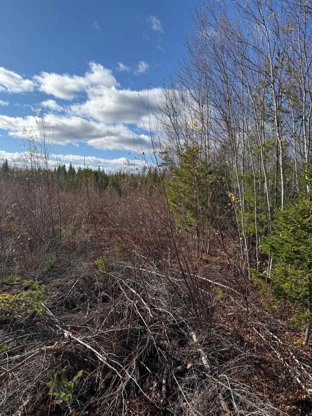 B Mackay Road, Welsford, NS