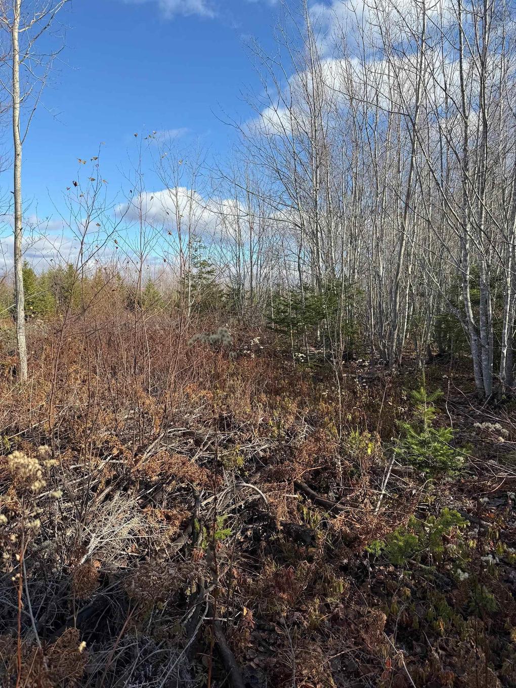 B Mackay Road, Welsford, NS