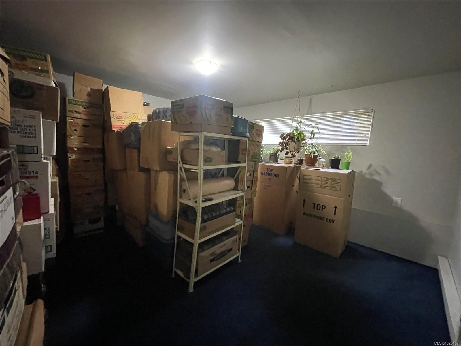 965 Haida Ave, Port Alice, BC