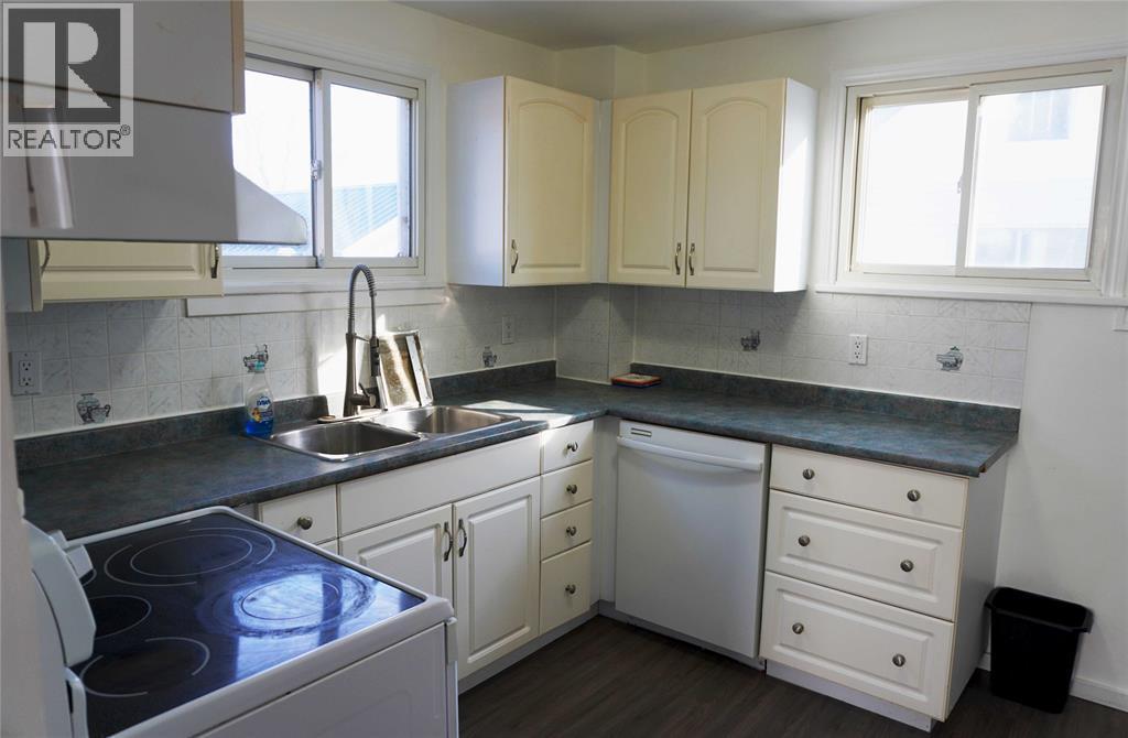 460 Nelson Street, Sarnia, ON - Indoor Photo Showing Kitchen With Double Sink