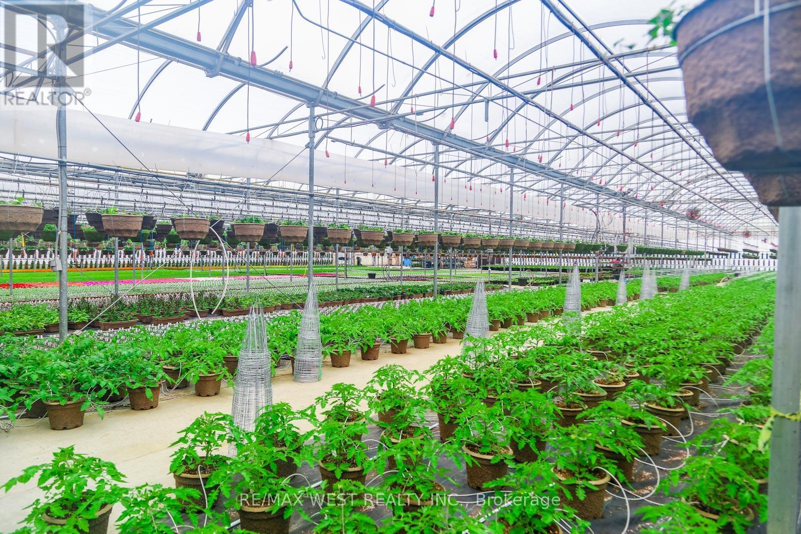 11871 Cold Creek Road, Vaughan, ON