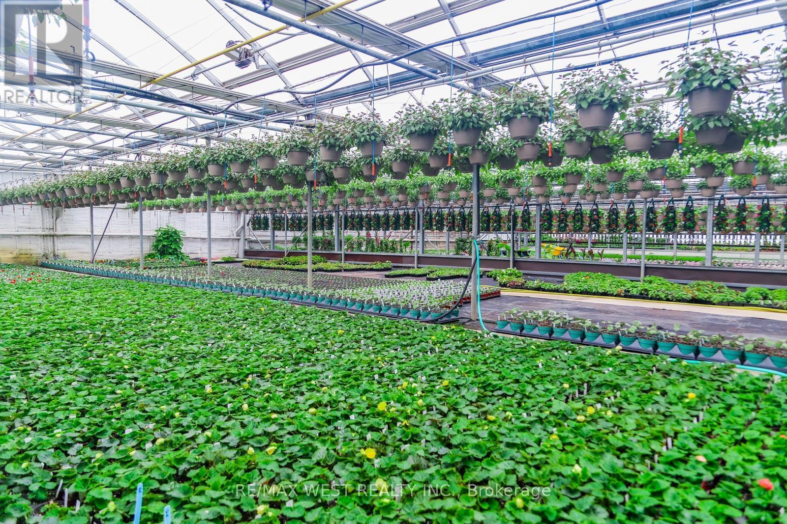 11871 Cold Creek Road, Vaughan, ON