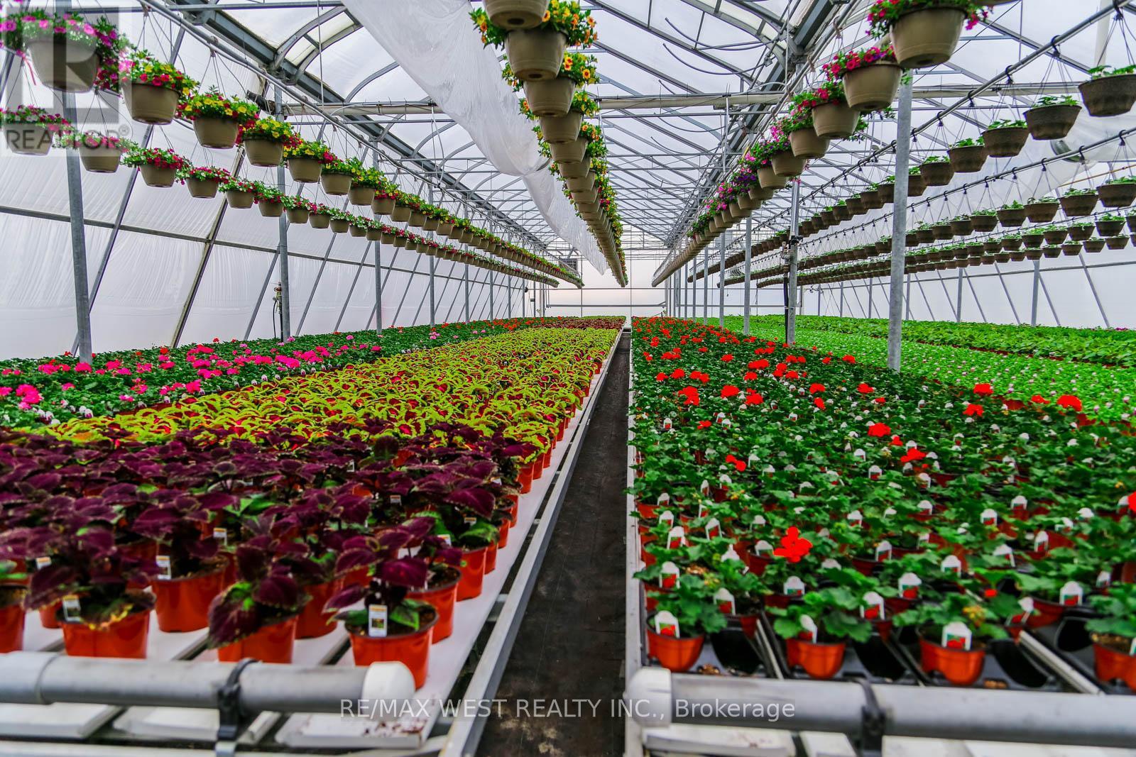 11871 Cold Creek Road, Vaughan, ON