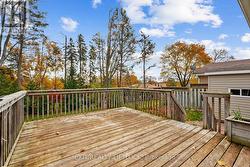 large deck, woodsy yard -