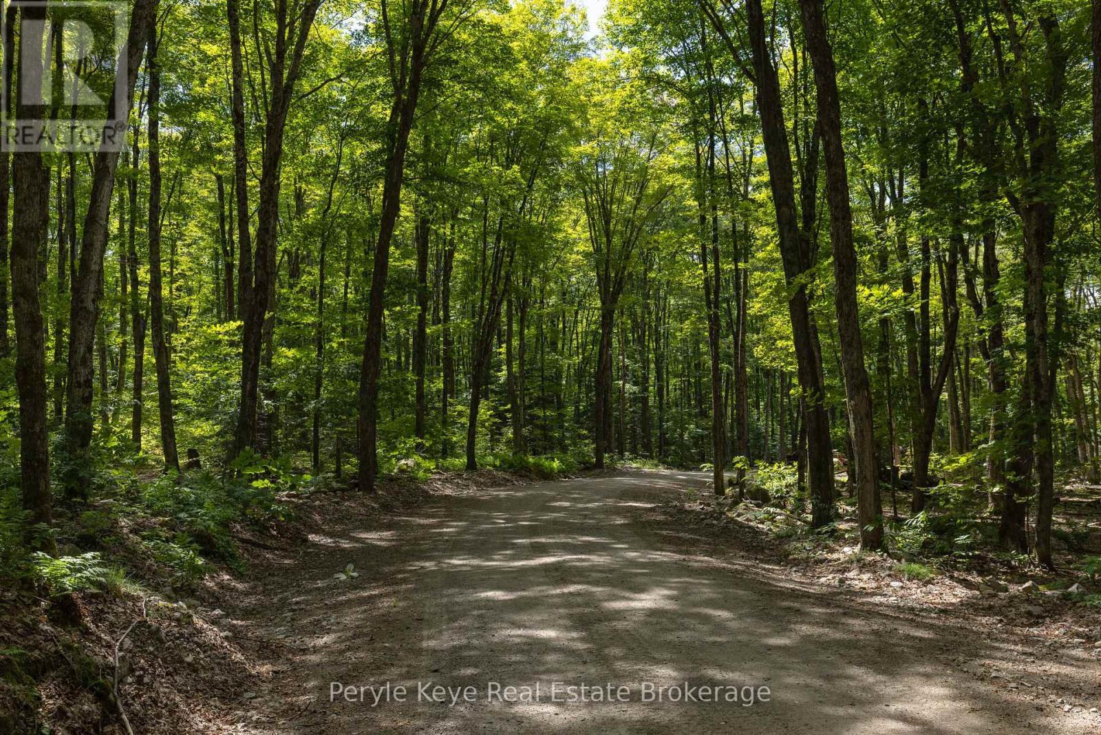 Approx 1km Driveway w/ Underground Hydro & Bell - 3191 Hwy 518 Highway E, Kearney, ON - Outdoor With View