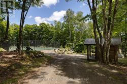 Professional Tennis Court, Pickleball, Basketball -