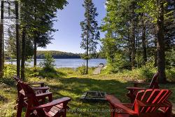 Cabin leading out to fire pit and dock! -