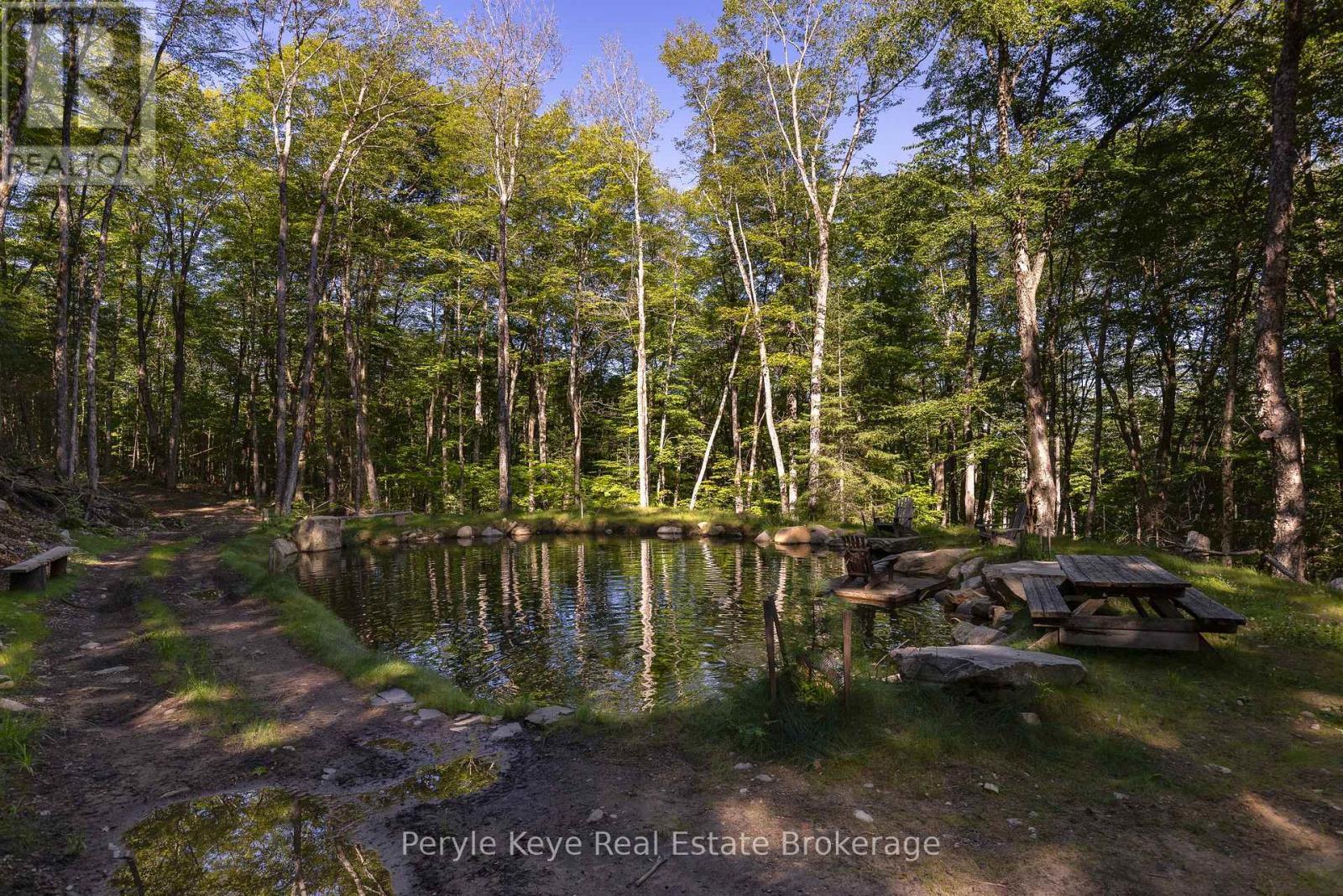 One of 2 Stocked Ponds - 3191 Hwy 518 Highway E, Kearney, ON - Outdoor With View
