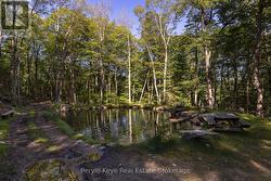 One of 2 Stocked Ponds -