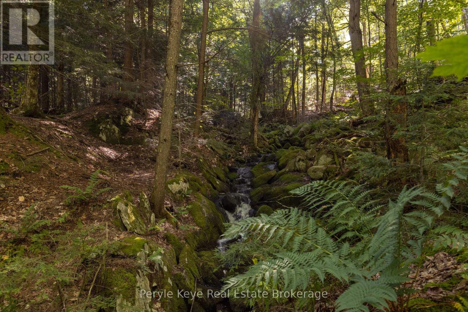 Waterfall - Gently Cascading 150' +/- - 3191 Hwy 518 Highway E, Kearney, ON - Outdoor With View