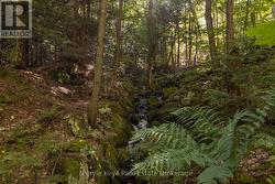 Waterfall - Gently Cascading 150' +/- -