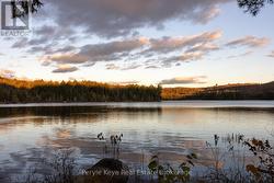 INCREDIBLE! Many More Photos Available! -