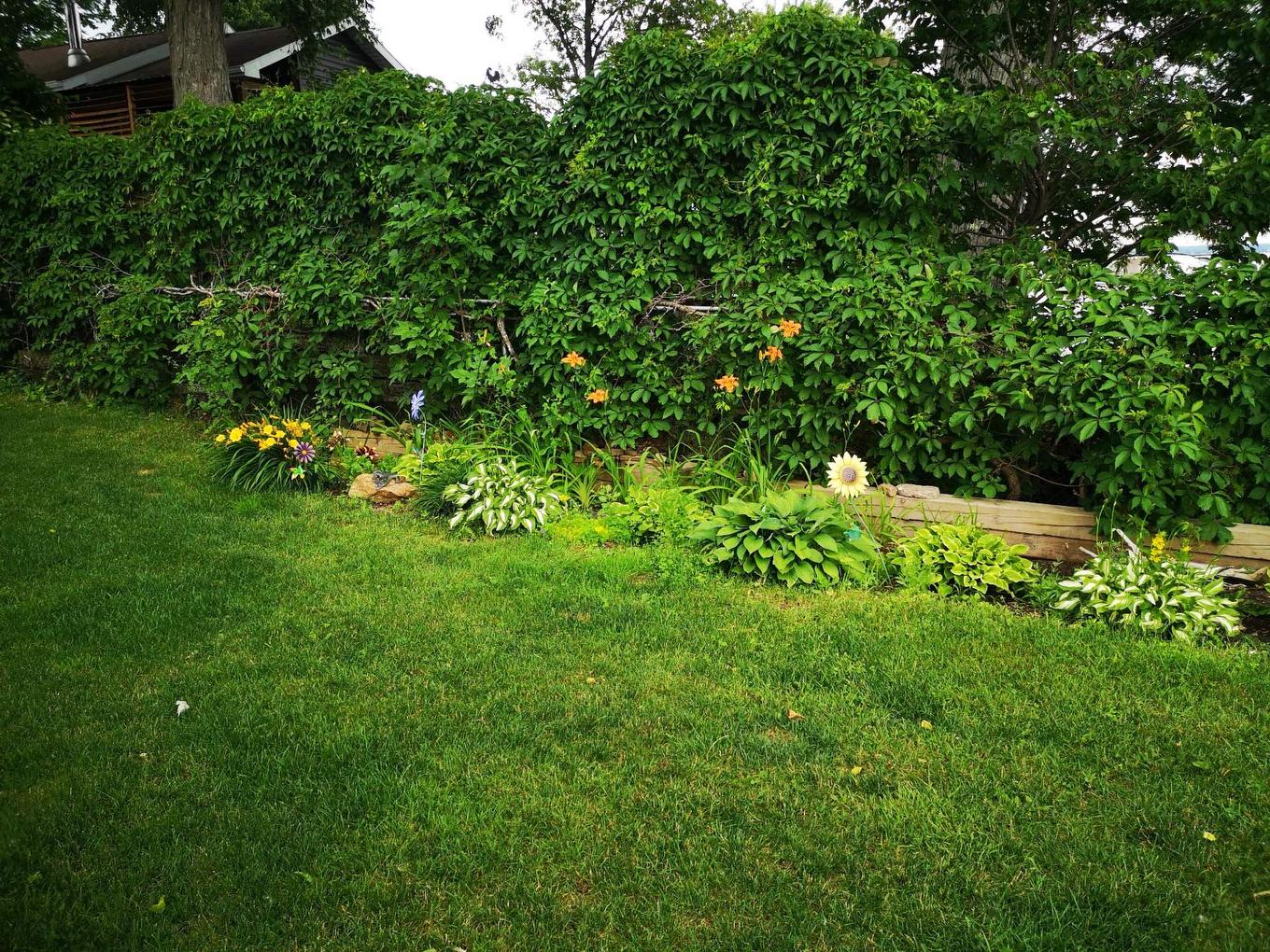 Backyard - 30 Rue Paquette, Grenville-Sur-La-Rouge, QC - Outdoor
