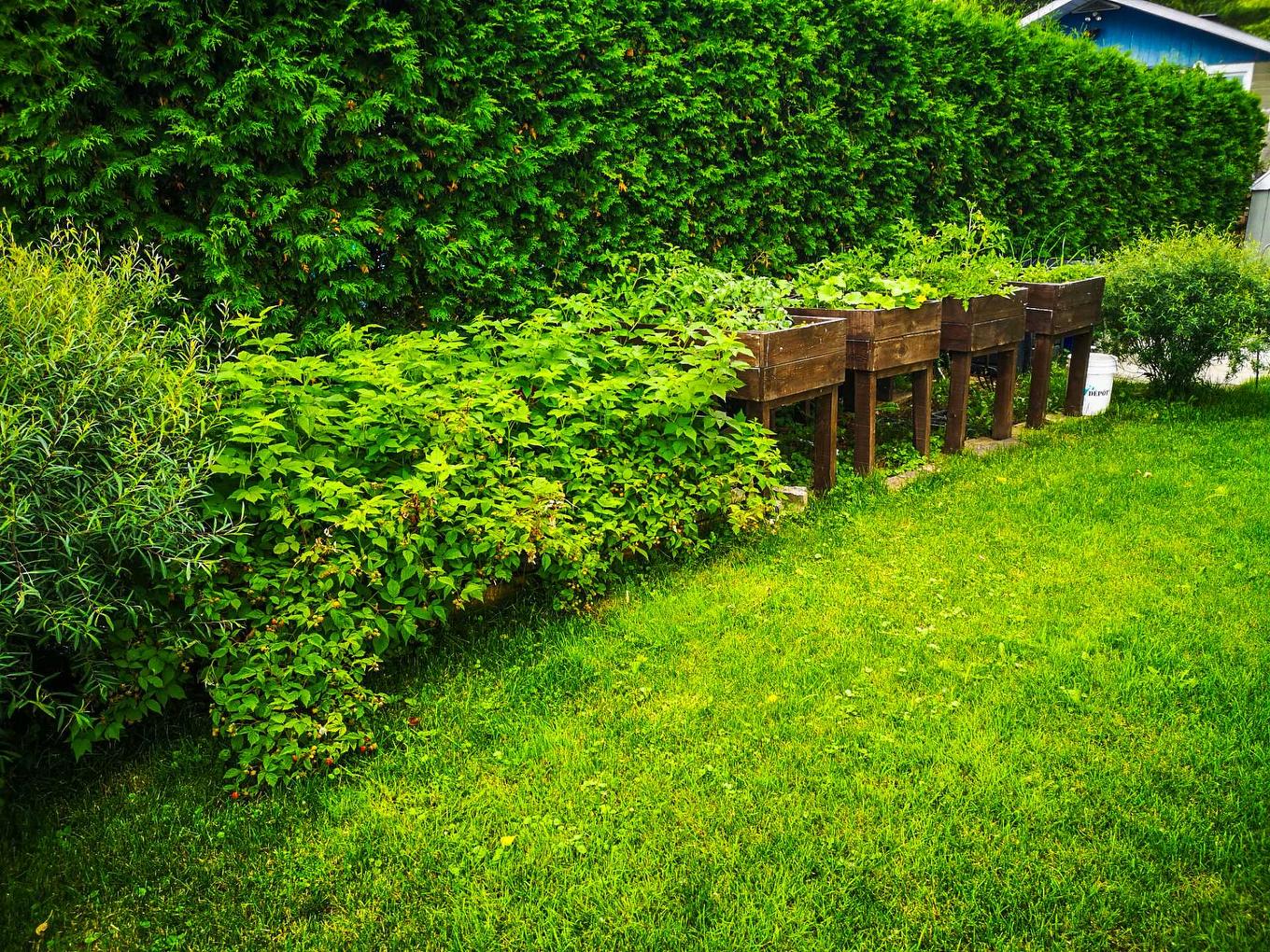 Backyard - 30 Rue Paquette, Grenville-Sur-La-Rouge, QC - Outdoor