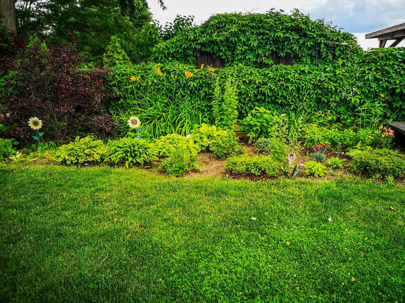 Backyard - 30 Rue Paquette, Grenville-Sur-La-Rouge, QC - Outdoor