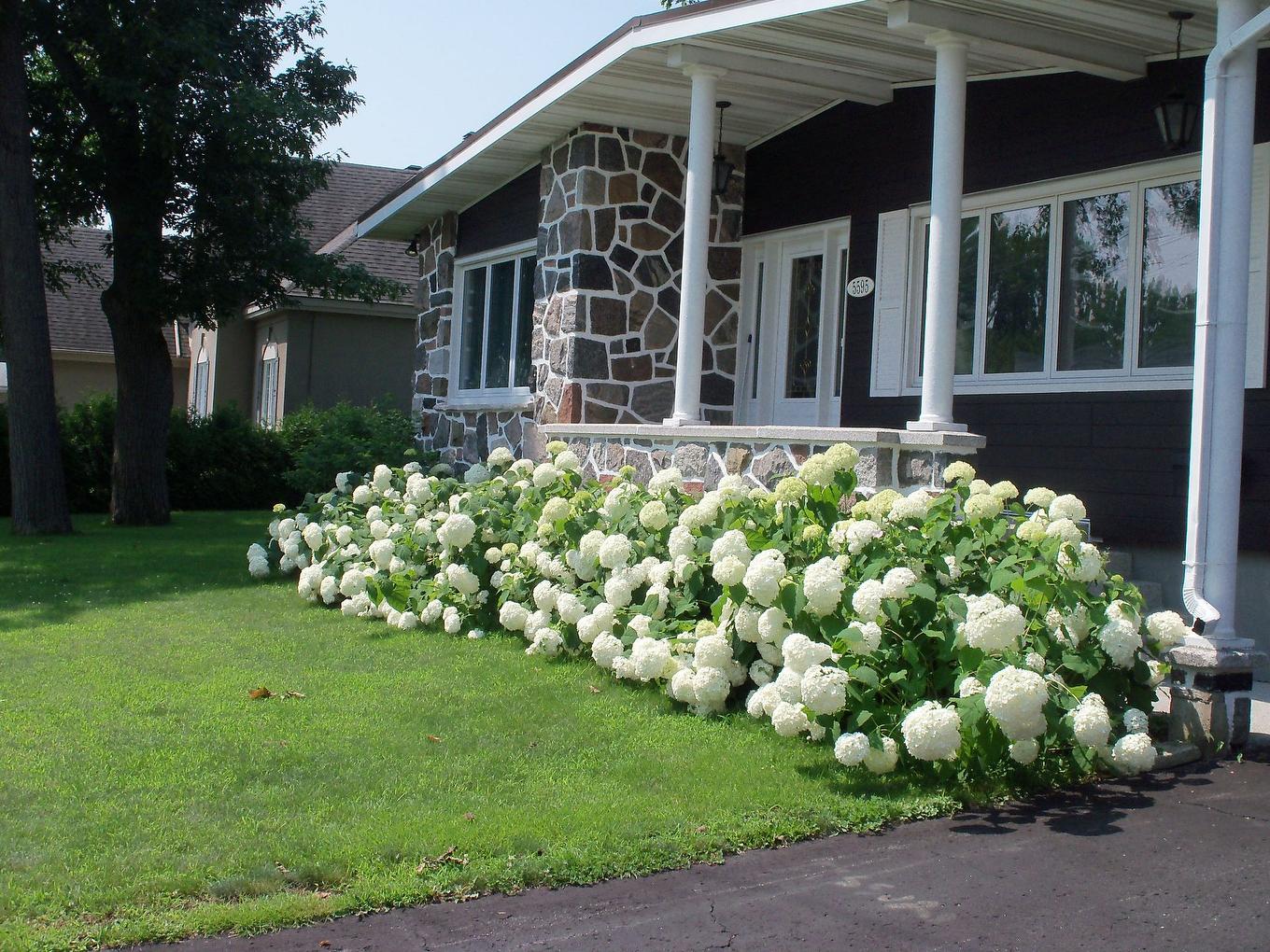Façade - 5595 Ch. St-Roch, Sorel-Tracy, QC - Outdoor