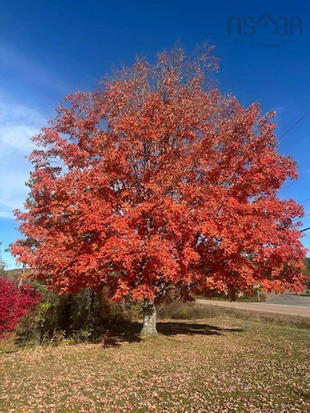 1817 Highway 311, Central North River, NS