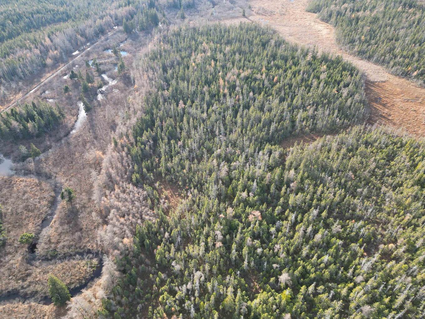 Oban Road, River Tillard, NS