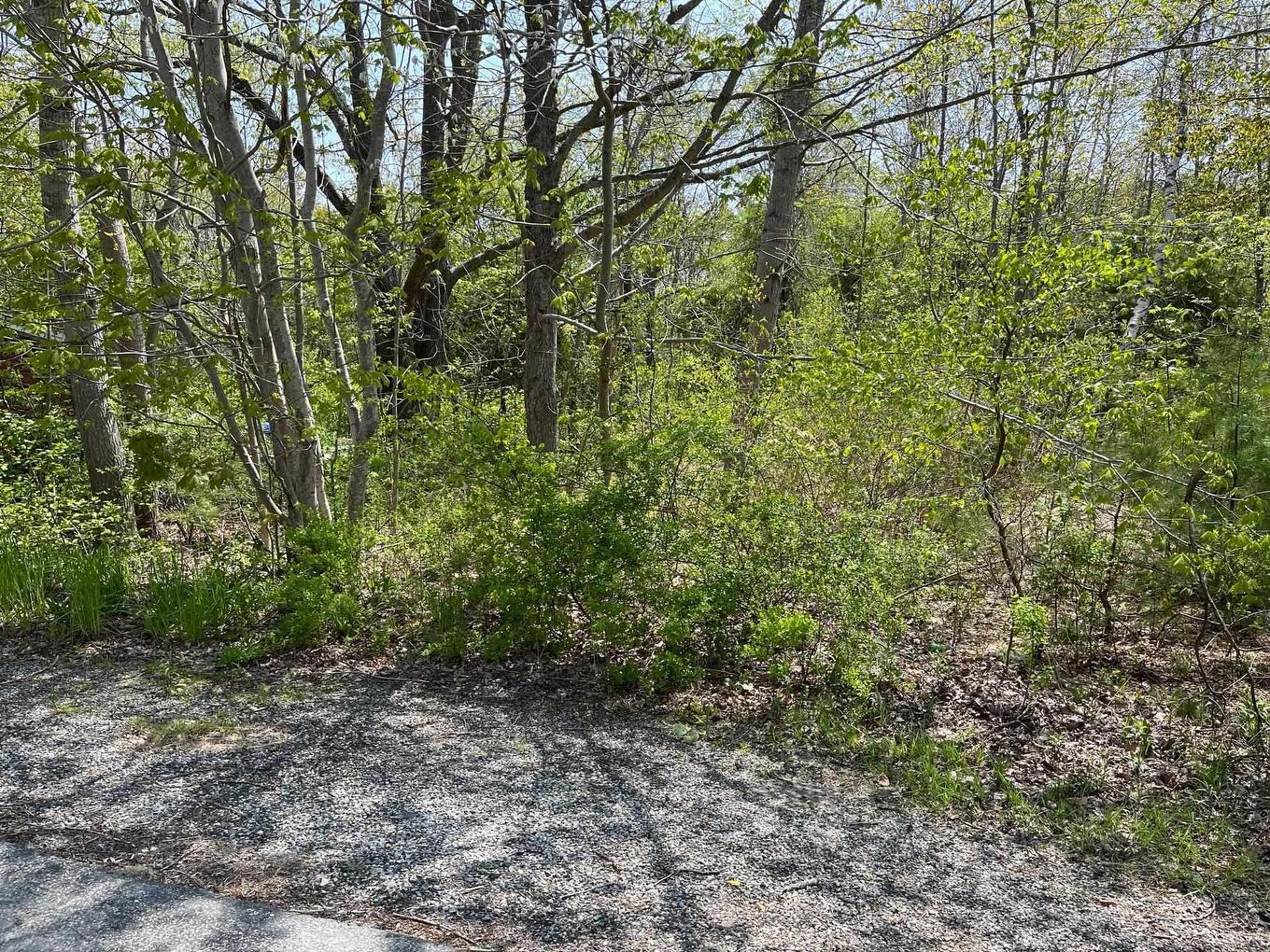 31 Franks Lane, Bridgewater, NS