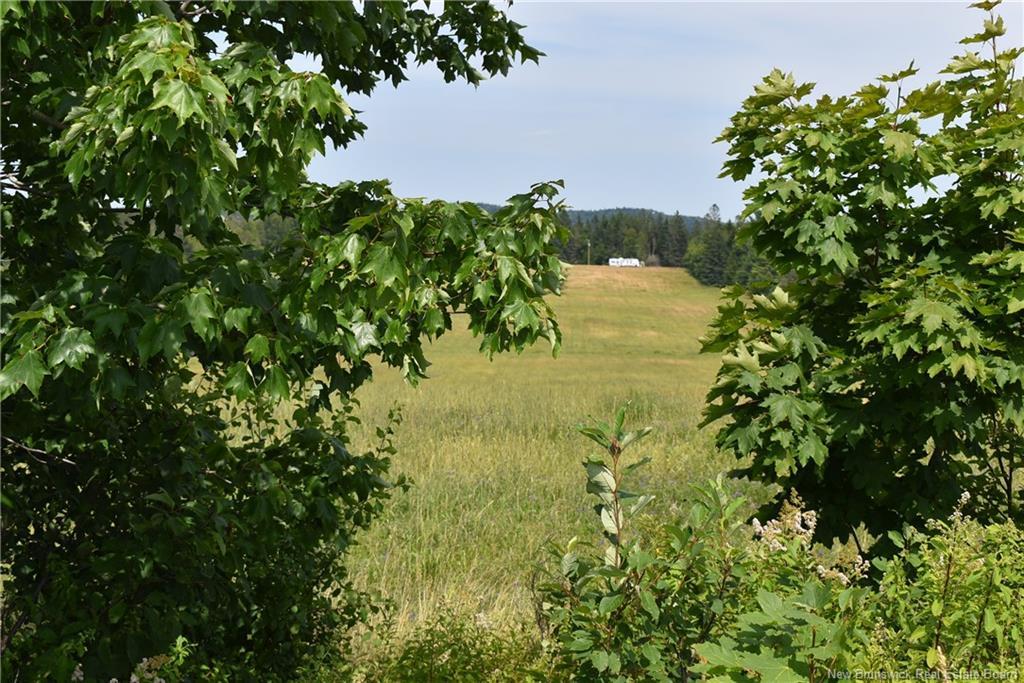Lot 14 Rankine Rd, Bayside, NB