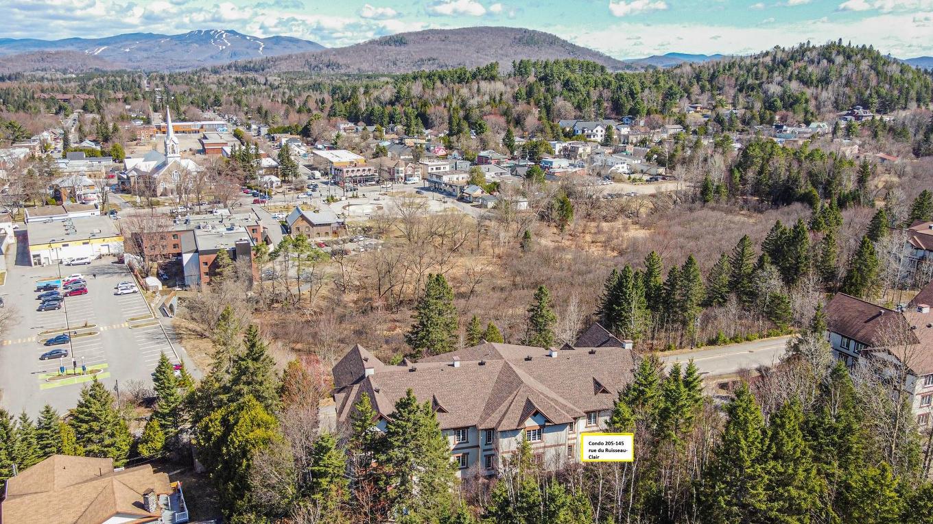 Overall view - 205-145 Rue Du Ruisseau-Clair, Mont-Tremblant, QC - Outdoor With View