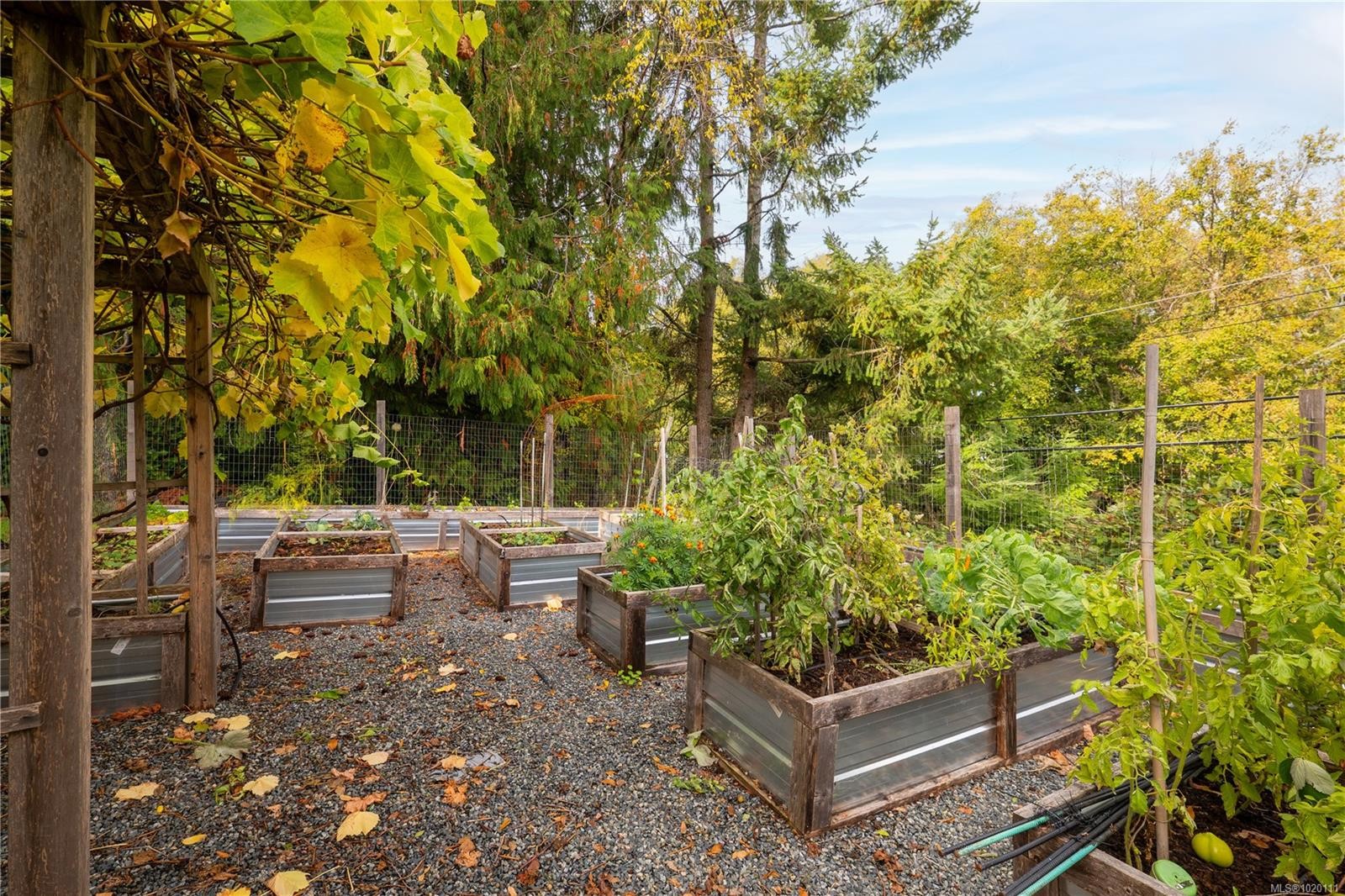 6869 Philip Rd, Lantzville, BC