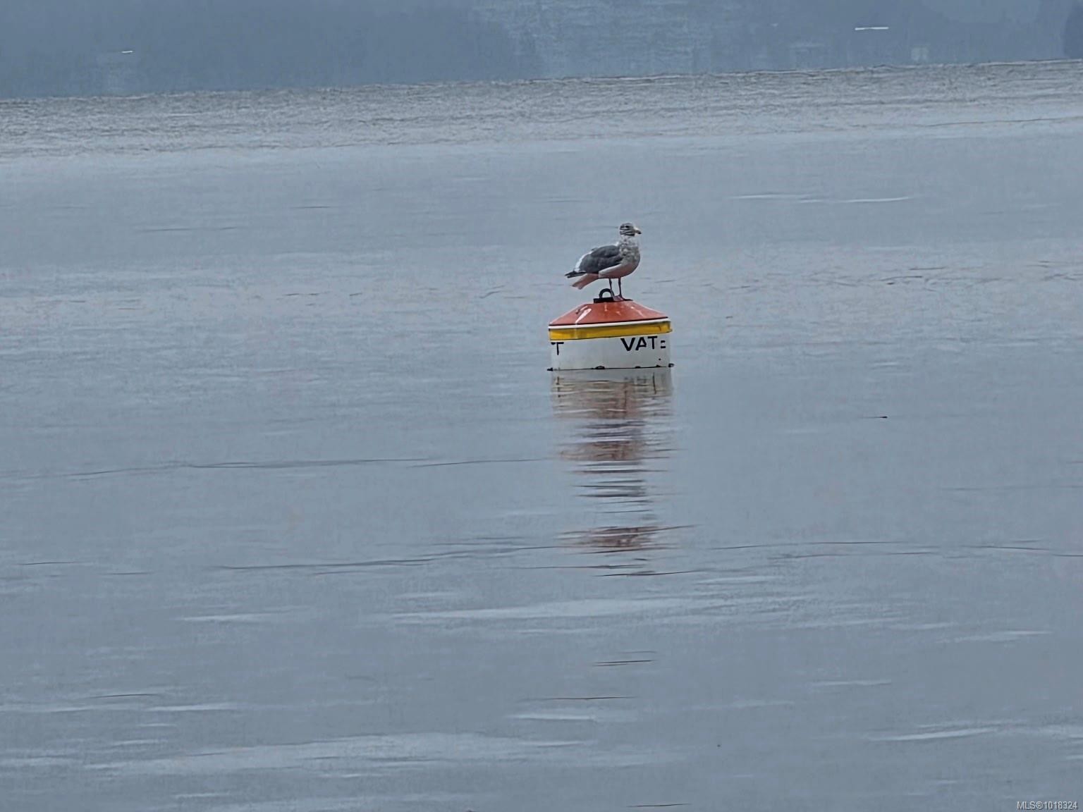 2851 Whiskey Point Rd, Mill Bay, BC