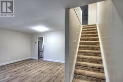 New Carpeting on Stairs -