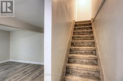 New Carpeting on Stairs -
