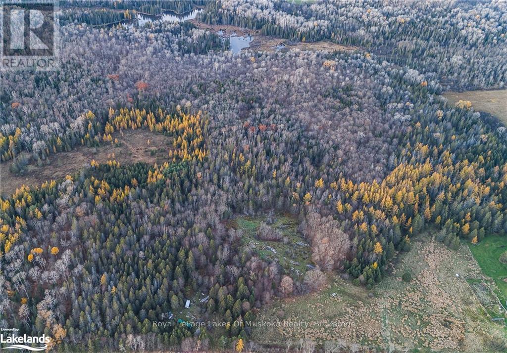 Lot 2 Hill And Gully Road, Ryerson, ON