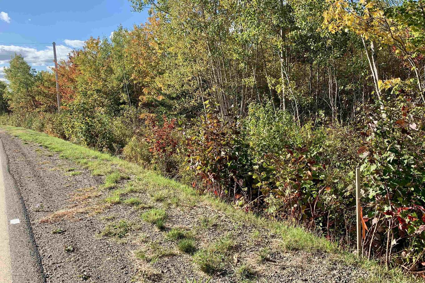 Lot 24-1 Highway 321, Roslin, NS