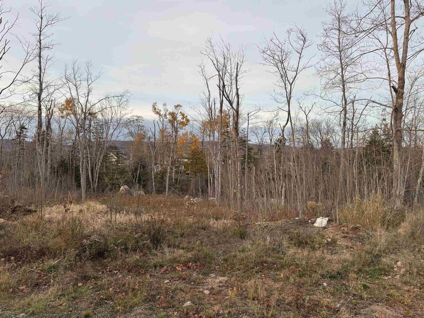 10 Fort View Drive, Allains Creek, NS