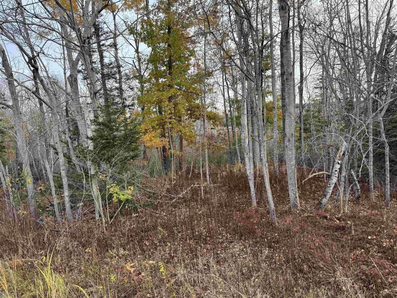 10 Fort View Drive, Allains Creek, NS