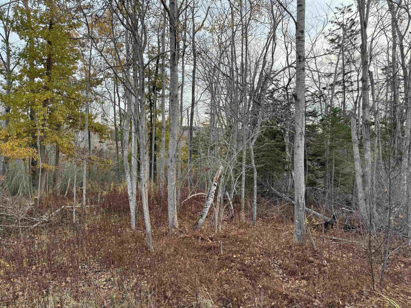 10 Fort View Drive, Allains Creek, NS