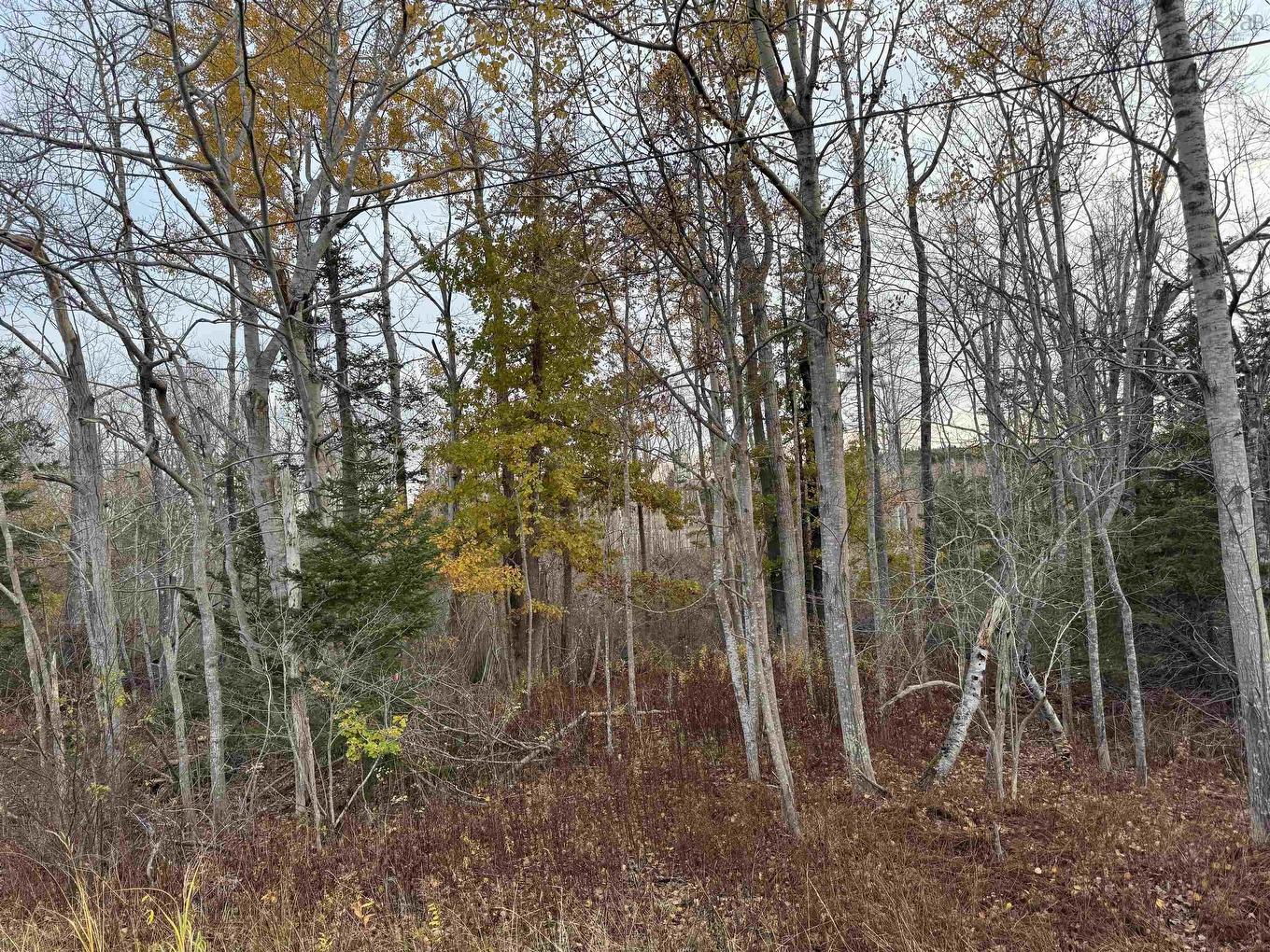 10 Fort View Drive, Allains Creek, NS