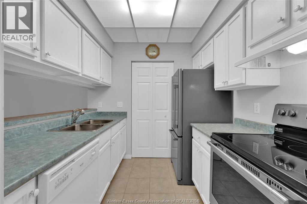 315 Village Grove Unit# 501, Tecumseh, ON - Indoor Photo Showing Kitchen With Double Sink